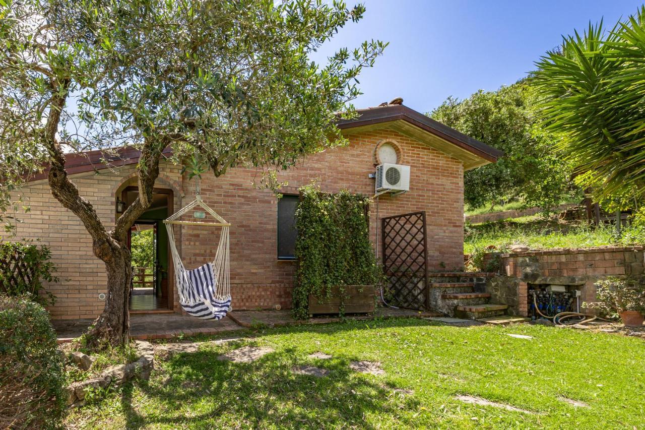 Vineyard Dependance With Shared Pool - Happy Rentals Casal Velino Exterior photo