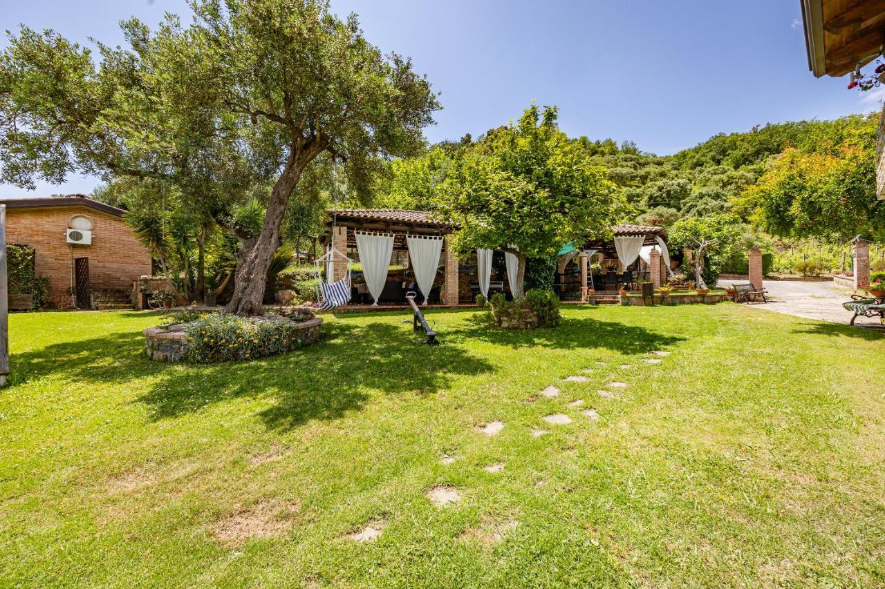 Vineyard Dependance With Shared Pool - Happy Rentals Casal Velino Exterior photo